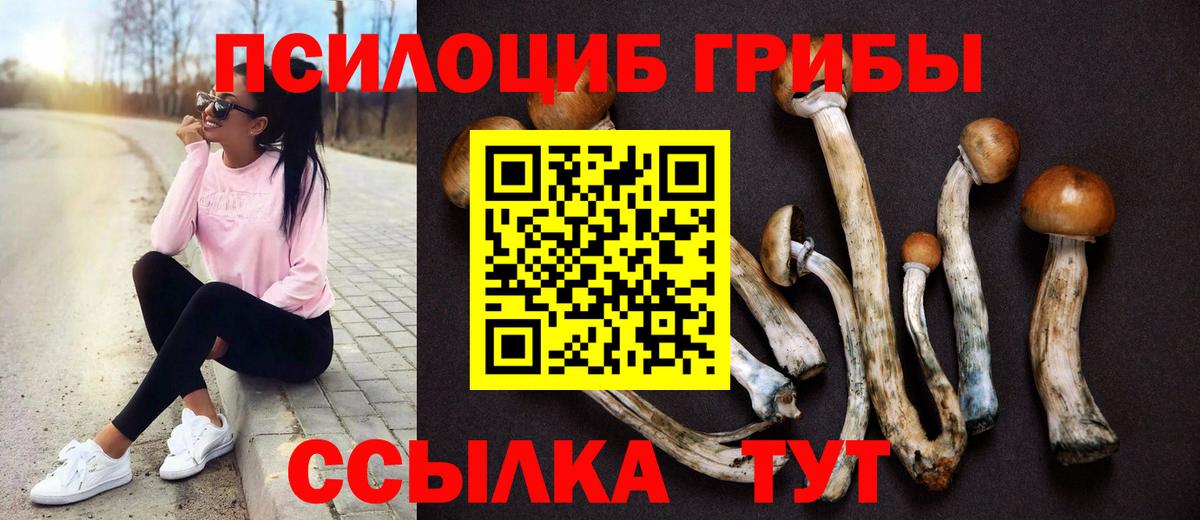 Лысьва  Псилоцибиновые грибы прущие грибы  цены   Псилоцибиновые грибы мухоморы  Вход с VPN 